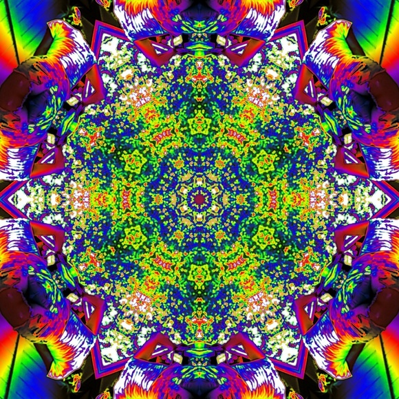 Tapestry - Picture 1 of 1